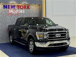 فۆرد F-150